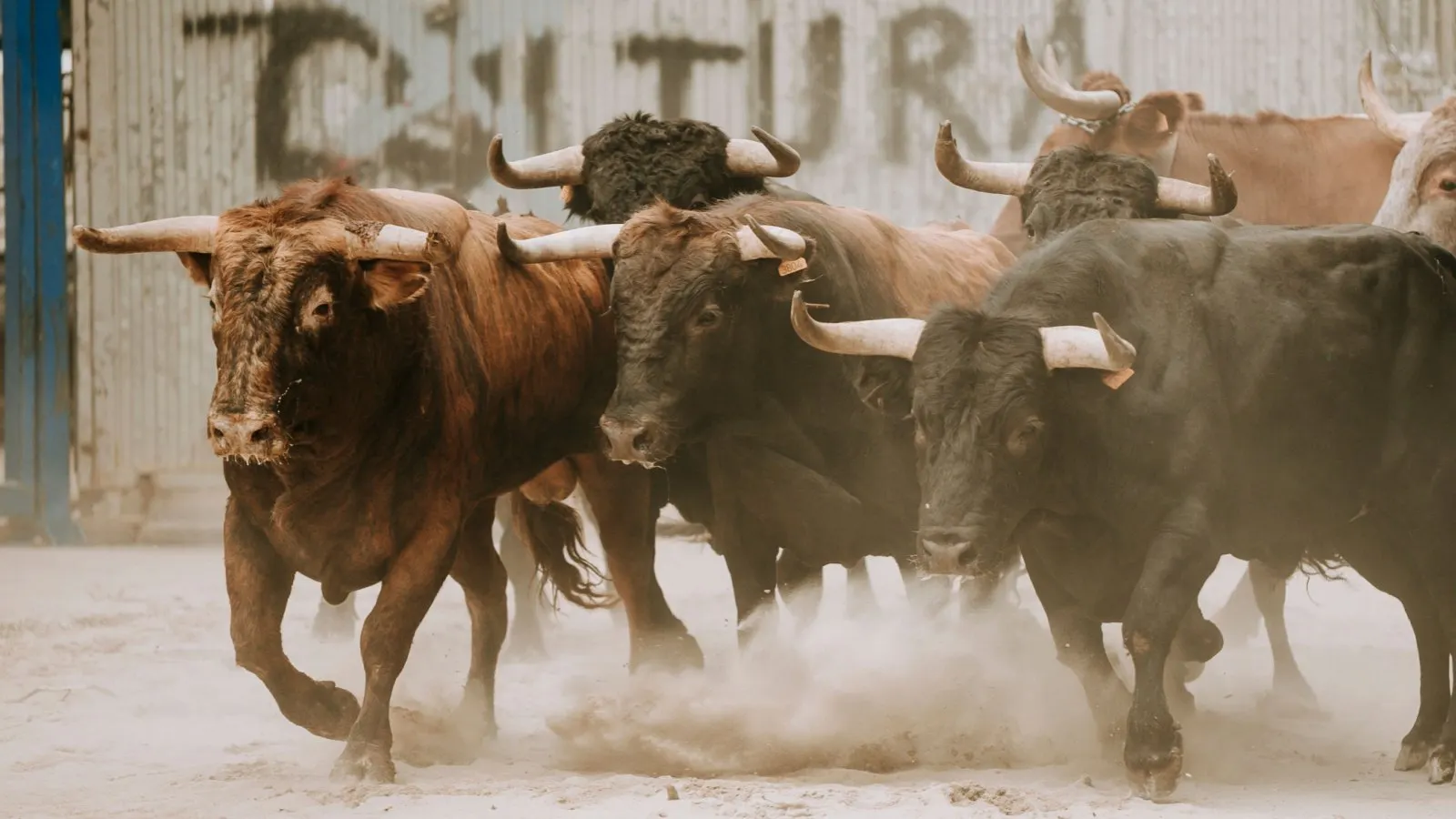 Bullish on Bitcoin and crypto? You should be, analysts say. Image: Shutterstock