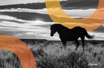 a4e59d88fbe91daeb2417527a6cbbc95 Wyoming's 'Frontier' Stablecoin Debuts—Will It Provide Yield? January 8th, 2026 9:53 pm