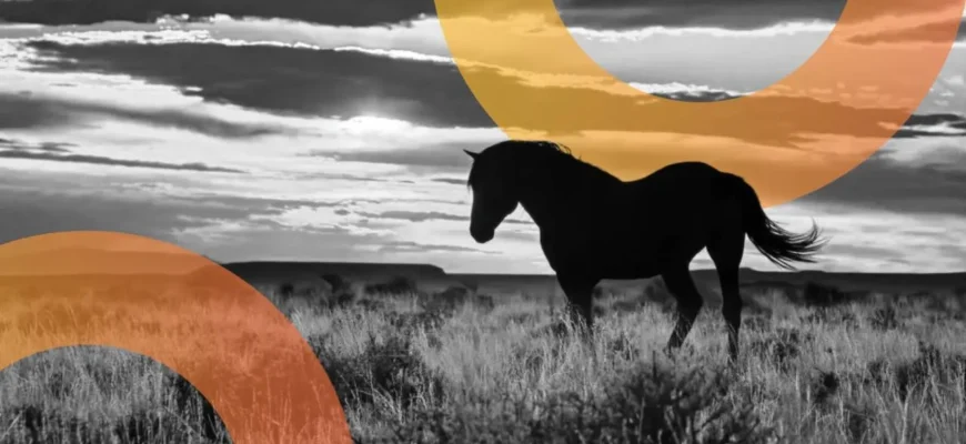 a4e59d88fbe91daeb2417527a6cbbc95 Wyoming's 'Frontier' Stablecoin Debuts—Will It Provide Yield? January 8th, 2026 2:51 pm