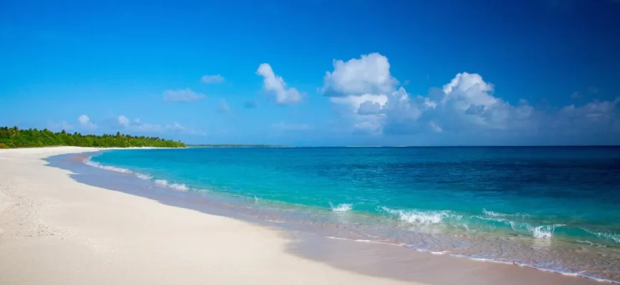 ce6aa759d57a60d73d8b7a593b23d1cc Dubai Family Office Will Invest 8.8B Dollars to Transform the Maldives into a Blockchain Hub May 5th, 2025 12:32 am